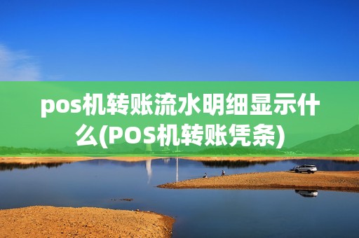 pos机转账流水明细显示什么(POS机转账凭条)
