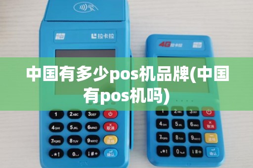 中国有多少pos机品牌(中国有pos机吗)