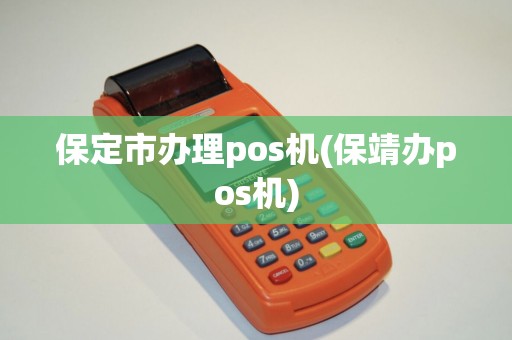 保定市办理pos机(保靖办pos机)