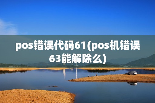 pos错误代码61(pos机错误63能解除么)
