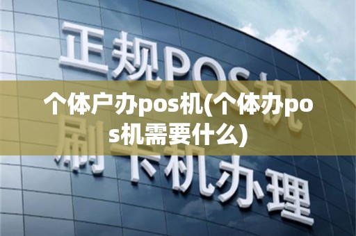 个体户办pos机(个体办pos机需要什么)