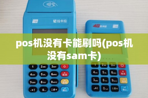 pos机没有卡能刷吗(pos机没有sam卡)