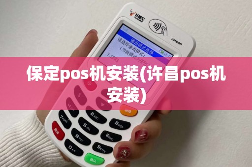 保定pos机安装(许昌pos机安装)