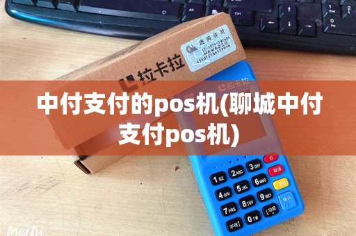 中付支付的pos机(聊城中付支付pos机)