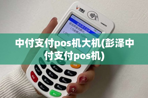中付支付pos机大机(彭泽中付支付pos机)