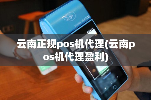 云南正规pos机代理(云南pos机代理盈利)