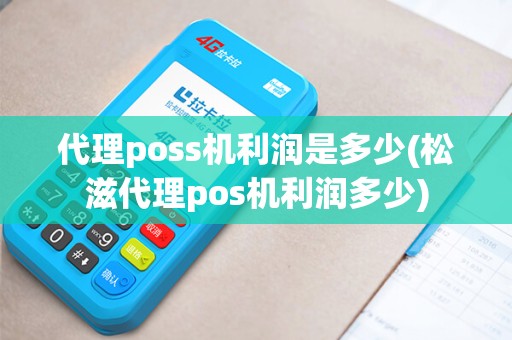 代理poss机利润是多少(松滋代理pos机利润多少)