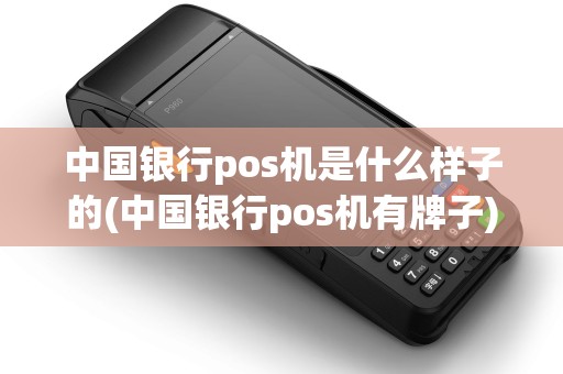 中国银行pos机是什么样子的(中国银行pos机有牌子)