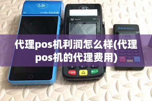 代理pos机利润怎么样(代理pos机的代理费用)
