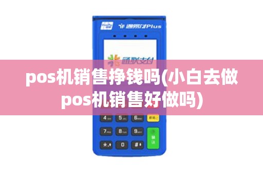 pos机销售挣钱吗(小白去做pos机销售好做吗)