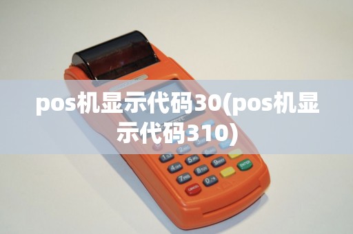 pos机显示代码30(pos机显示代码310)
