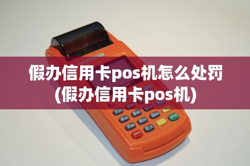 假办信用卡pos机怎么处罚(假办信用卡pos机)
