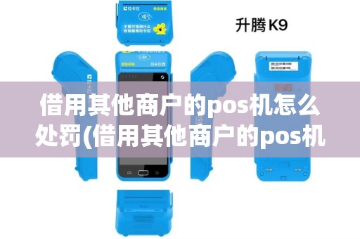 借用其他商户的pos机怎么处罚(借用其他商户的pos机)