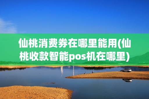 仙桃消费券在哪里能用(仙桃收款智能pos机在哪里)