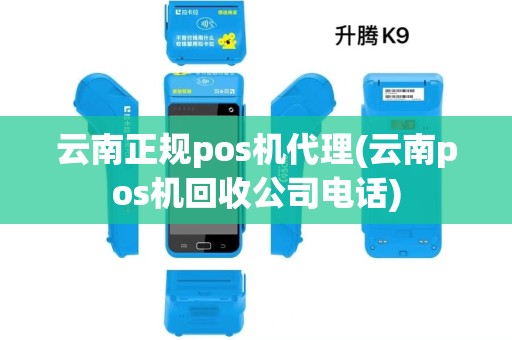 云南正规pos机代理(云南pos机回收公司电话)