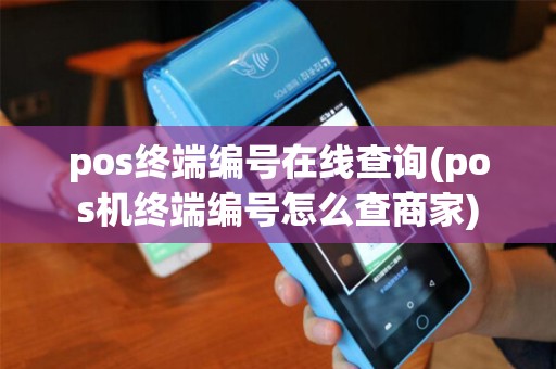 pos终端编号在线查询(pos机终端编号怎么查商家)