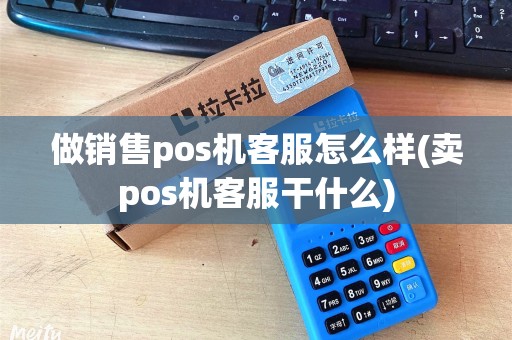 做销售pos机客服怎么样(卖pos机客服干什么)