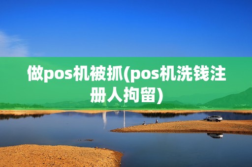 做pos机被抓(pos机洗钱注册人拘留)