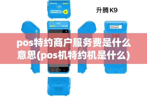 pos特约商户服务费是什么意思(pos机特约机是什么)