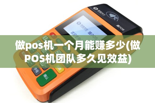 做pos机一个月能赚多少(做POS机团队多久见效益)