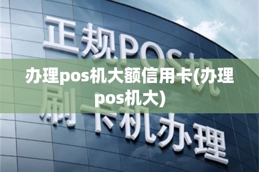办理pos机大额信用卡(办理pos机大)