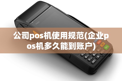 公司pos机使用规范(企业pos机多久能到账户)