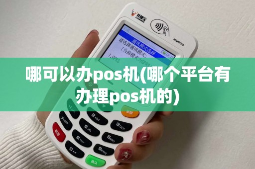 哪可以办pos机(哪个平台有办理pos机的)