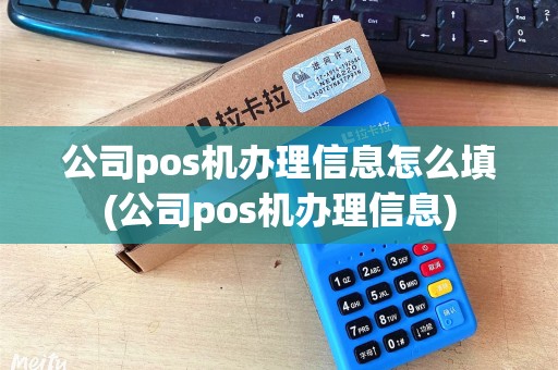 公司pos机办理信息怎么填(公司pos机办理信息)
