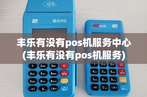 丰乐有没有pos机服务中心(丰乐有没有pos机服务)