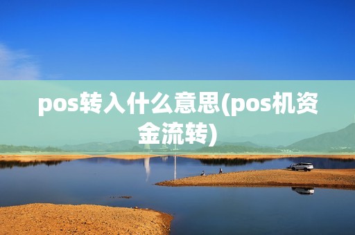 pos转入什么意思(pos机资金流转)