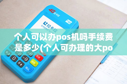 个人可以办pos机吗手续费是多少(个人可办理的大pos机)