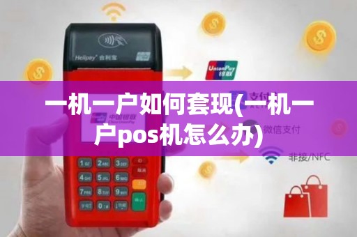 一机一户如何套现(一机一户pos机怎么办)