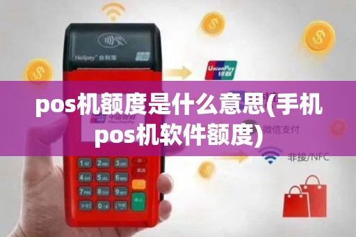 pos机额度是什么意思(手机pos机软件额度)