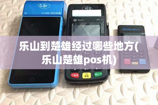 乐山到楚雄经过哪些地方(乐山楚雄pos机)