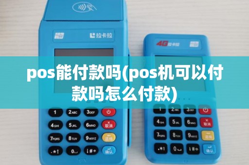 pos能付款吗(pos机可以付款吗怎么付款)