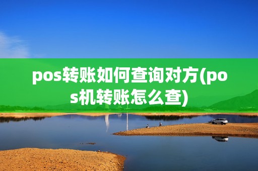 pos转账如何查询对方(pos机转账怎么查)