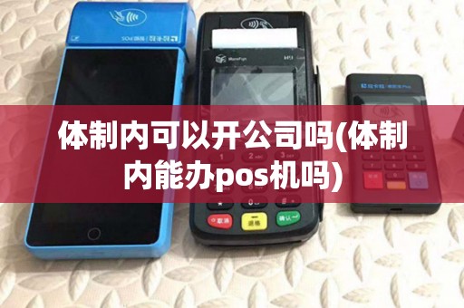 体制内可以开公司吗(体制内能办pos机吗)