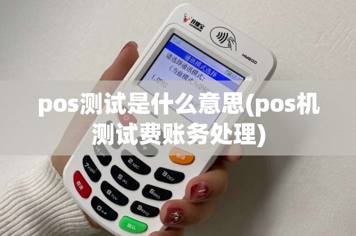 pos测试是什么意思(pos机测试费账务处理)