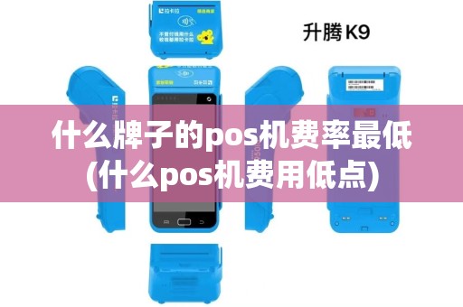 什么牌子的pos机费率最低(什么pos机费用低点)