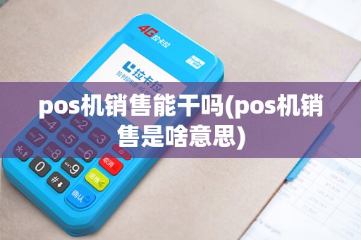 pos机销售能干吗(pos机销售是啥意思)