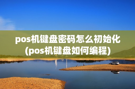 pos机键盘密码怎么初始化(pos机键盘如何编程)