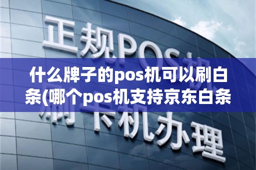 什么牌子的pos机可以刷白条(哪个pos机支持京东白条)