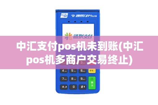中汇支付pos机未到账(中汇pos机多商户交易终止)