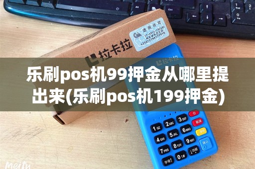 乐刷pos机99押金从哪里提出来(乐刷pos机199押金)