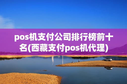 pos机支付公司排行榜前十名(西藏支付pos机代理)