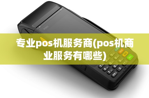 专业pos机服务商(pos机商业服务有哪些)