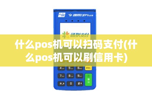 什么pos机可以扫码支付(什么pos机可以刷信用卡)