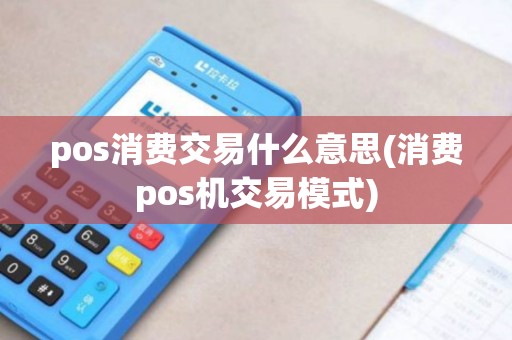 pos消费交易什么意思(消费pos机交易模式)