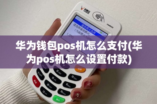 华为钱包pos机怎么支付(华为pos机怎么设置付款)