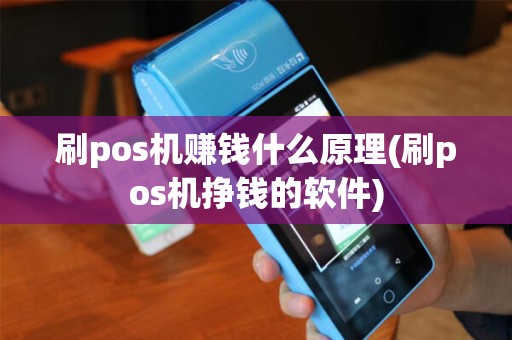 刷pos机赚钱什么原理(刷pos机挣钱的软件)